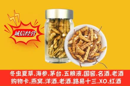 禹王台区回收散虫草