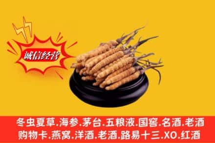 禹王台区求购回收虫草多少钱每克